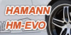HAMANN HM-EVOキャンペーン！