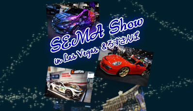2014 Sema Show